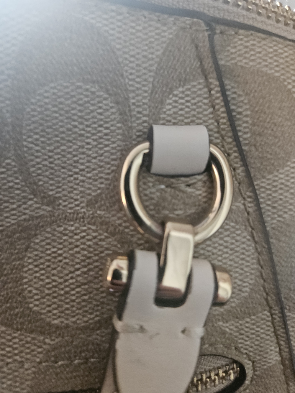 Coach Beige/Chalk Signature Tote with Gold Hardware - Picture 14 of 16